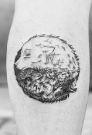 百乐动物纹身 女生小腿上黑色的狼纹身图片
