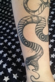 百乐动物纹身 女生手臂上凶残的蛇纹身图片