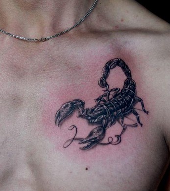 点击大图看下一张：图腾毒蝎胸部纹身