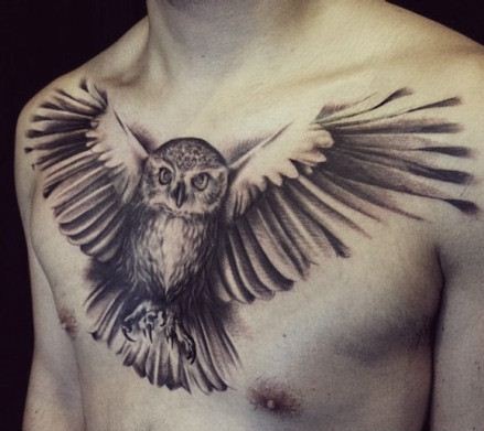 点击大图看下一张：神秘猫头鹰胸部纹身