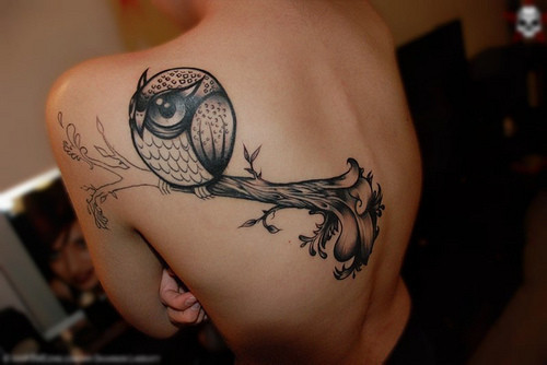 点击大图看下一张：创意猫头鹰背部纹身