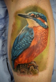 小腿对称纹身 男生小腿上彩色的小鸟纹身图片