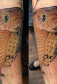 小腿对称纹身 男生小腿上彩色的蛇纹身图片
