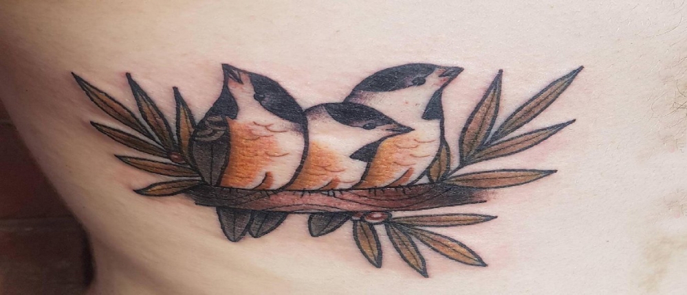 点击大图看下一张：纹身后背女 女生后背上树枝和鸟纹身图片