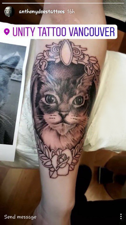 点击大图看下一张：小清新猫咪纹身 女生手臂上猫纹身图案