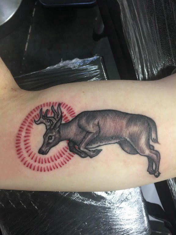 点击大图看下一张：百乐动物纹身 男生手臂上圆形和鹿纹身图片