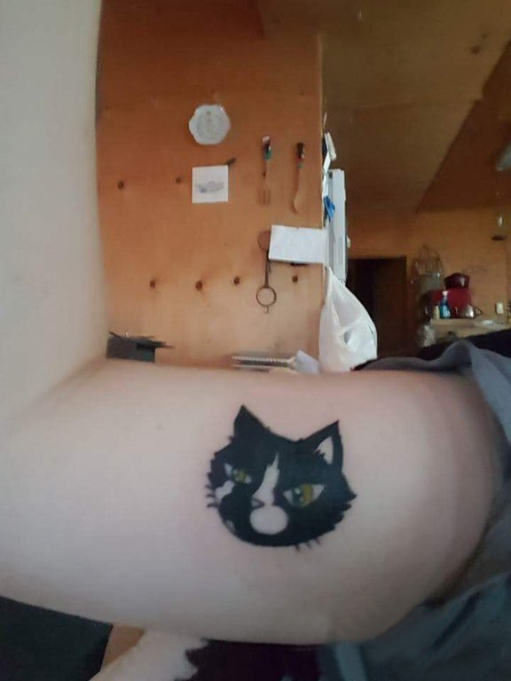 点击大图看下一张：大臂纹身图 女生大臂上彩色的猫咪纹身图片
