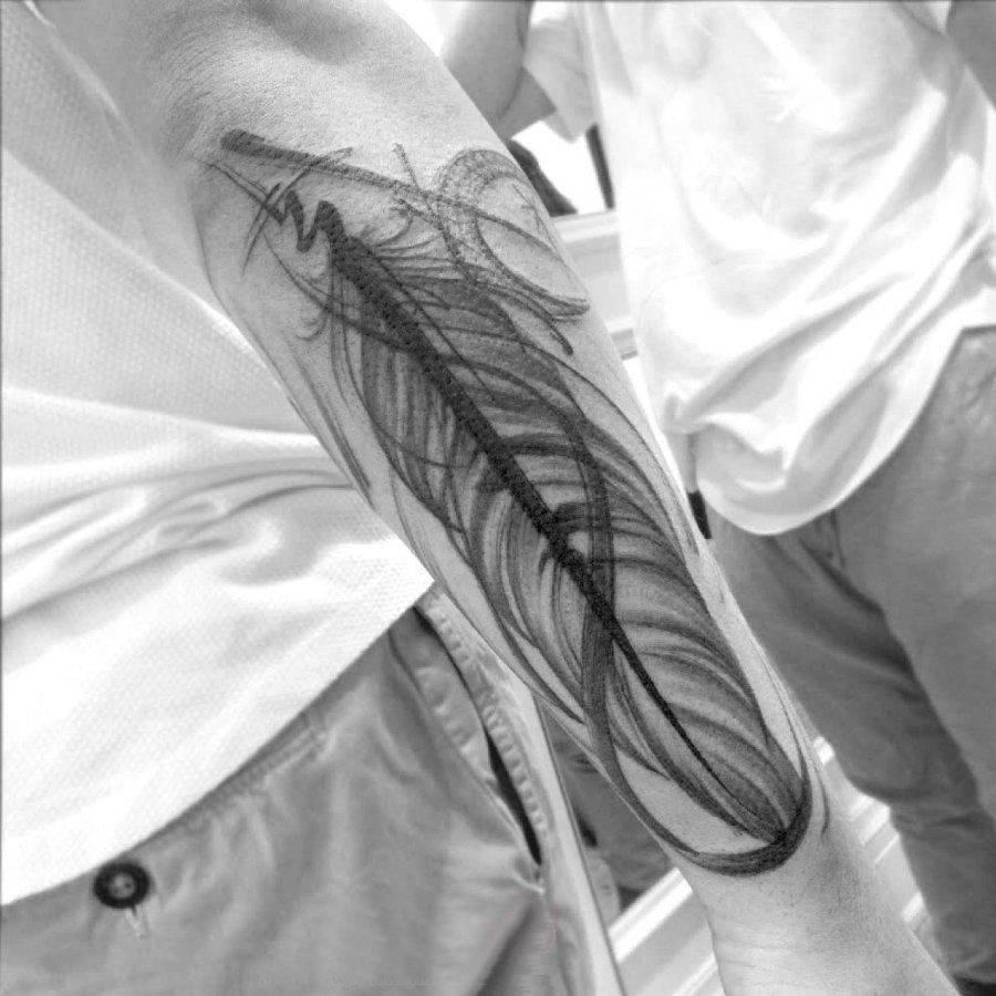 点击大图看下一张：手臂纹身素材 男生手臂上黑色的羽毛纹身图片