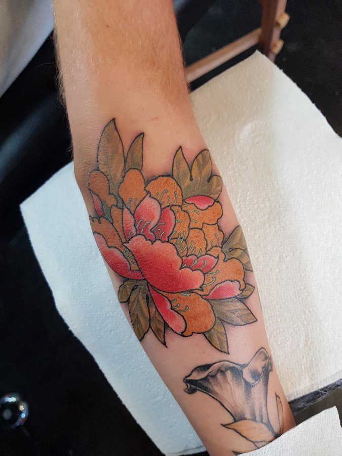 点击大图看下一张：植物纹身 男生手臂上彩色的牡丹纹身图片