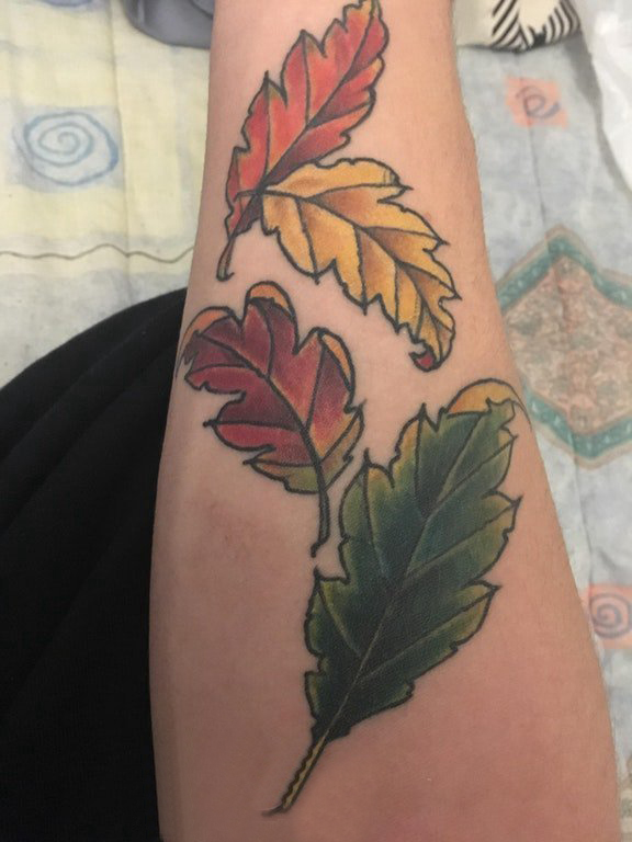 点击大图看下一张：植物纹身 男生手臂上彩色的叶子纹身图片
