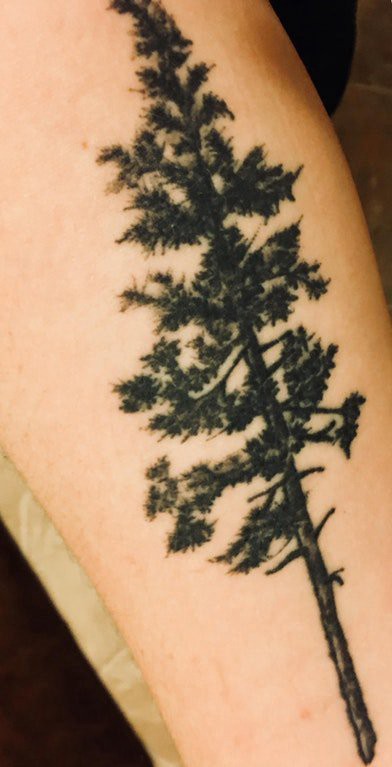 点击大图看下一张：植物纹身 男生手臂上黑色的树纹身图片