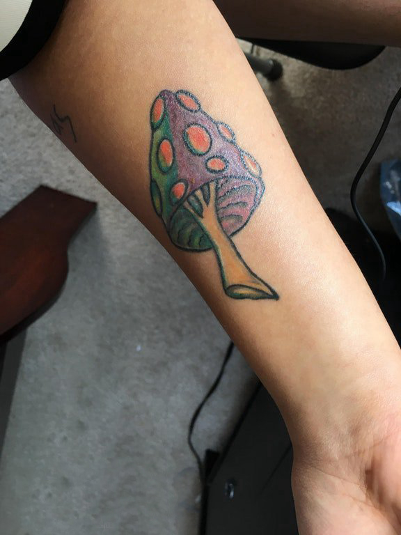 点击大图看下一张：植物纹身 女生手臂上彩色的蘑菇纹身图片