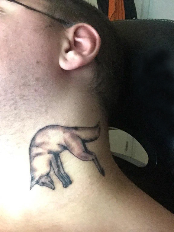 点击大图看下一张：百乐动物纹身 男生颈部黑色的狐狸纹身图片