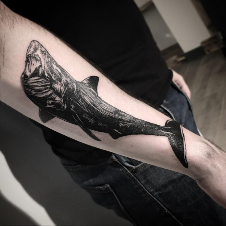 点击大图看下一张：百乐动物纹身 男生手臂上黑色的鲨鱼纹身图片