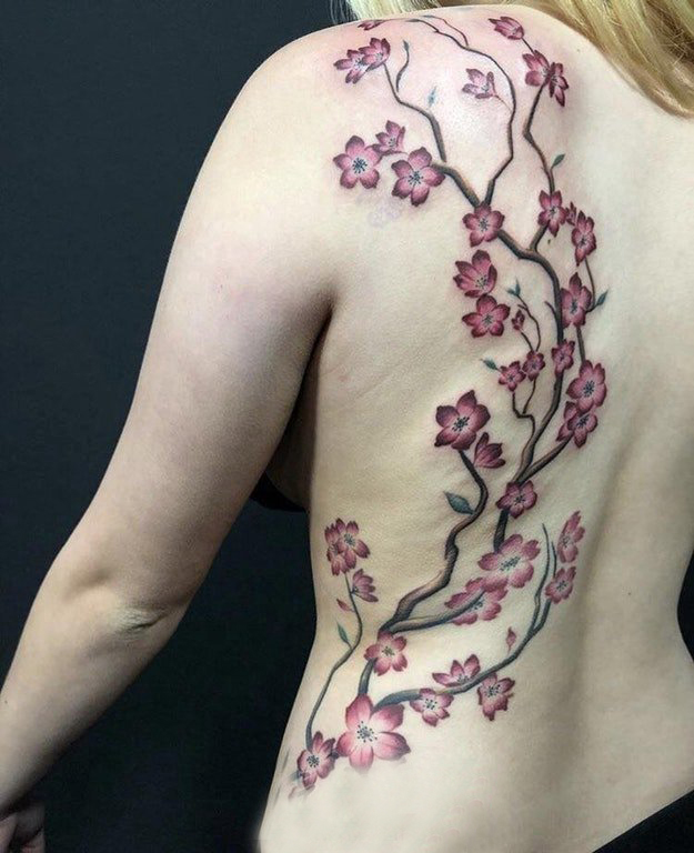 点击大图看下一张：纹身后背女 女生后背上彩色的樱花树纹身图片