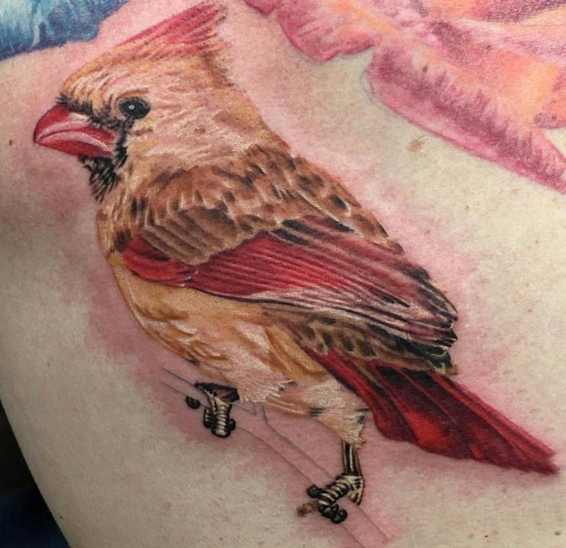 点击大图看下一张：鸟纹身 男生背部鸟纹身图片