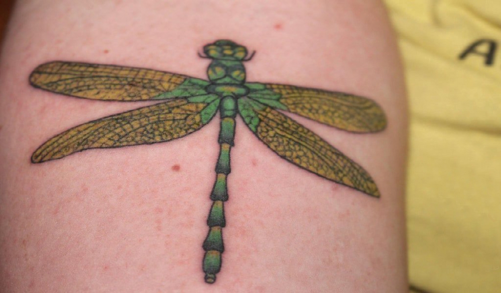 点击大图看下一张：手臂纹身素材 男生手臂上彩色的蜻蜓纹身图片