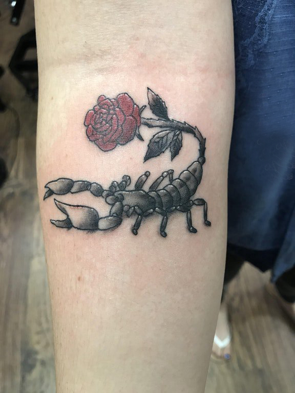 点击大图看下一张：手臂纹身素材 女生手臂上玫瑰和蝎子纹身图片