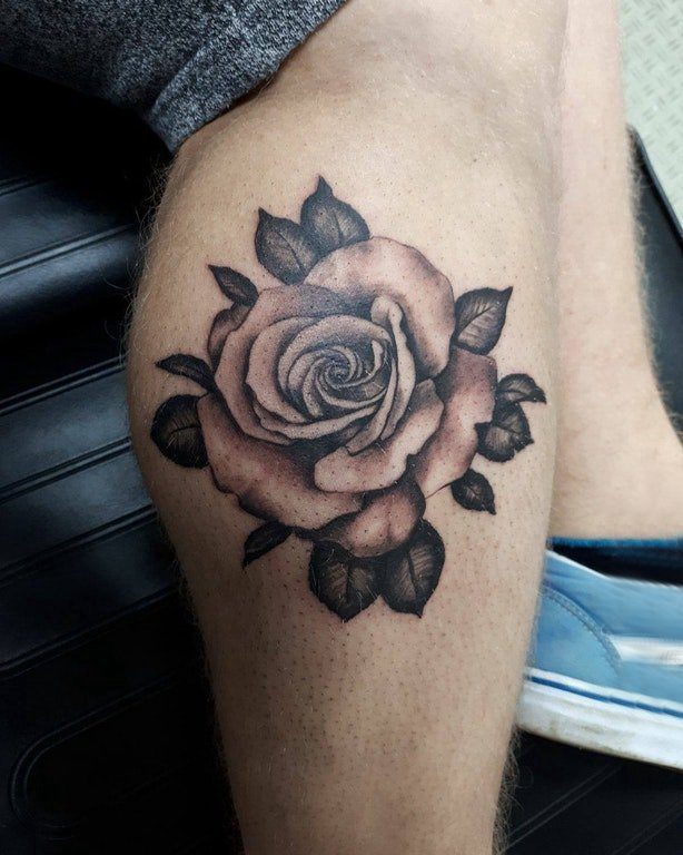 点击大图看下一张：欧美小腿纹身 男生小腿上黑色的玫瑰纹身图片