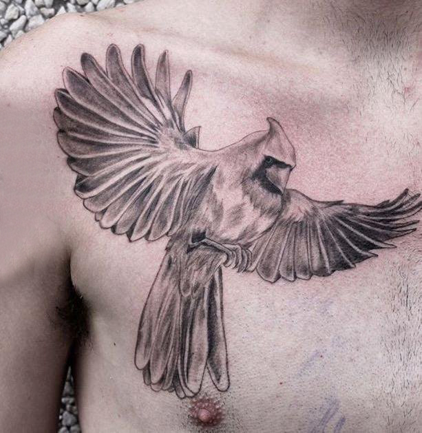 点击大图看下一张：纹身胸部男 男生胸部黑色的鹦鹉纹身图片