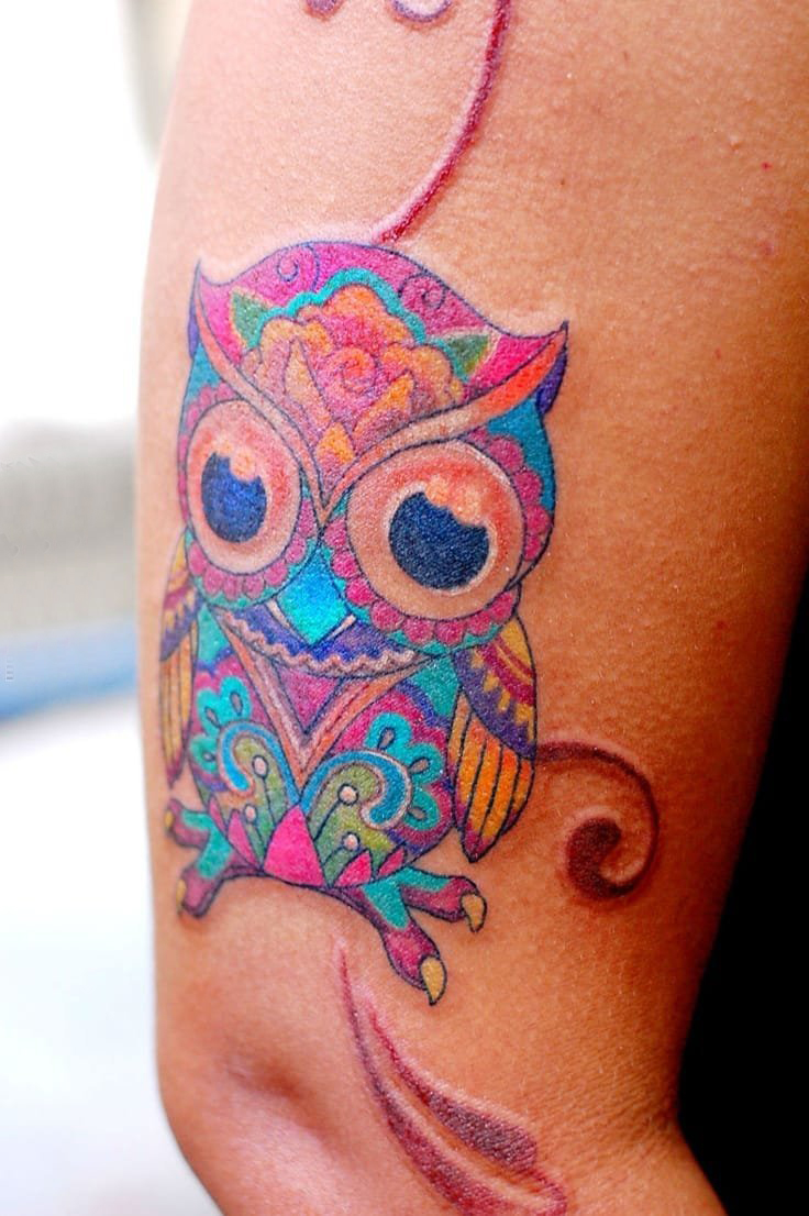 点击大图看下一张：纹身猫头鹰 多款彩色渐变纹身猫头鹰动物纹身图案