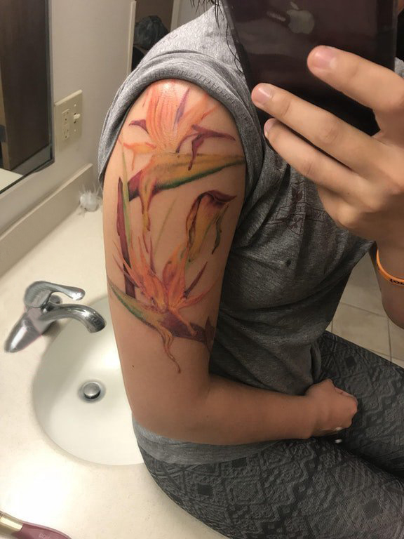 点击大图看下一张：植物纹身 女生大臂上彩色的鹤望兰纹身图片