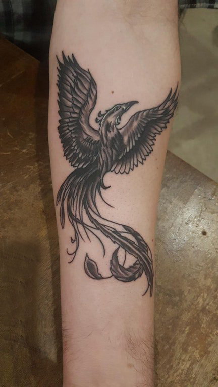 点击大图看下一张：百乐动物纹身 男生手臂上黑色的凤凰纹身图片