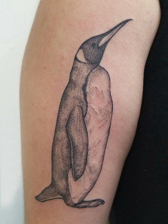 点击大图看下一张：百乐动物纹身 男生大臂上黑色的企鹅纹身图片