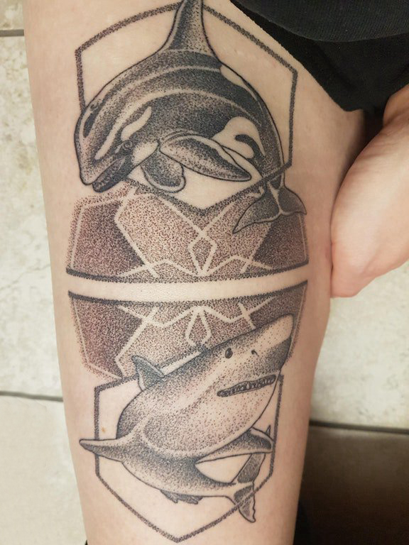 点击大图看下一张：大臂纹身图 女生大臂上海豚和鲨鱼纹身图片