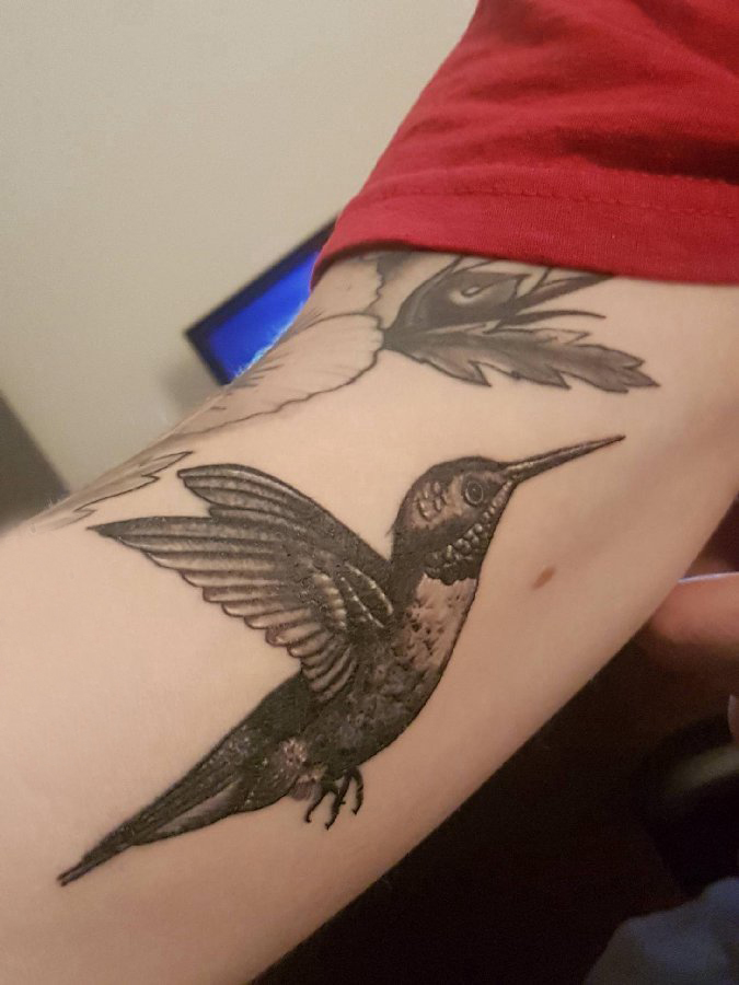点击大图看下一张：手臂纹身图片 男生手臂上黑色的蜂鸟纹身图片