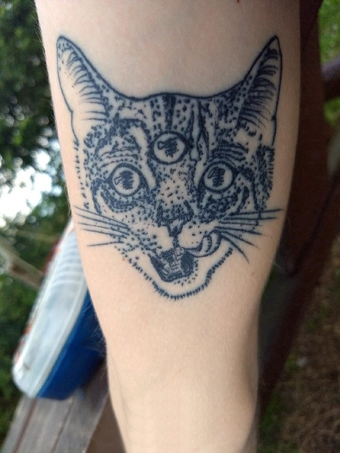 点击大图看下一张：百乐动物纹身 男生手臂上黑色的猫咪纹身图片