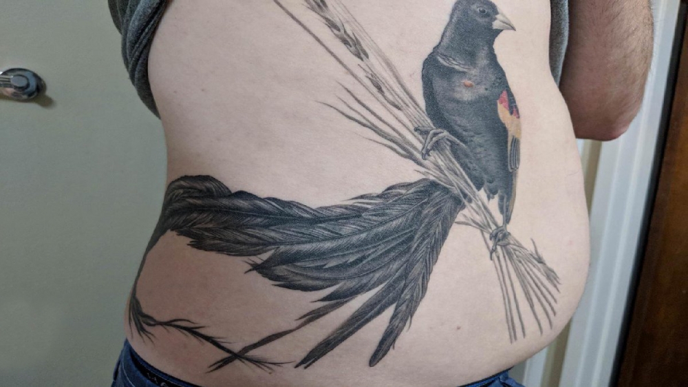 点击大图看下一张：腹部纹身 男生腹部黑色的小鸟纹身图片