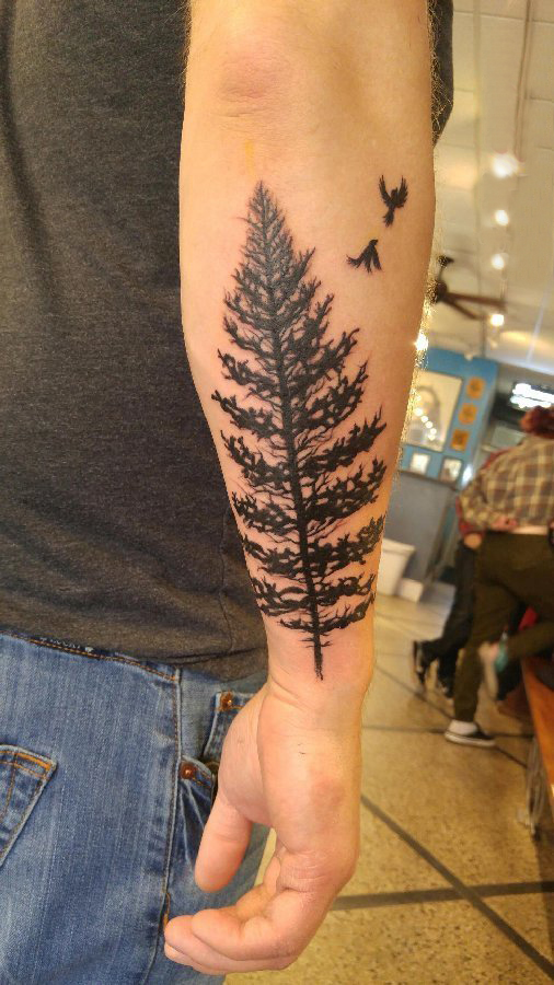 点击大图看下一张：手臂纹身图片 男生手臂上黑色的松树纹身图片