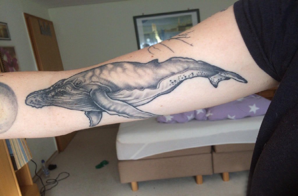 点击大图看下一张：百乐动物纹身 男生大臂上黑色的鲸鱼纹身图片