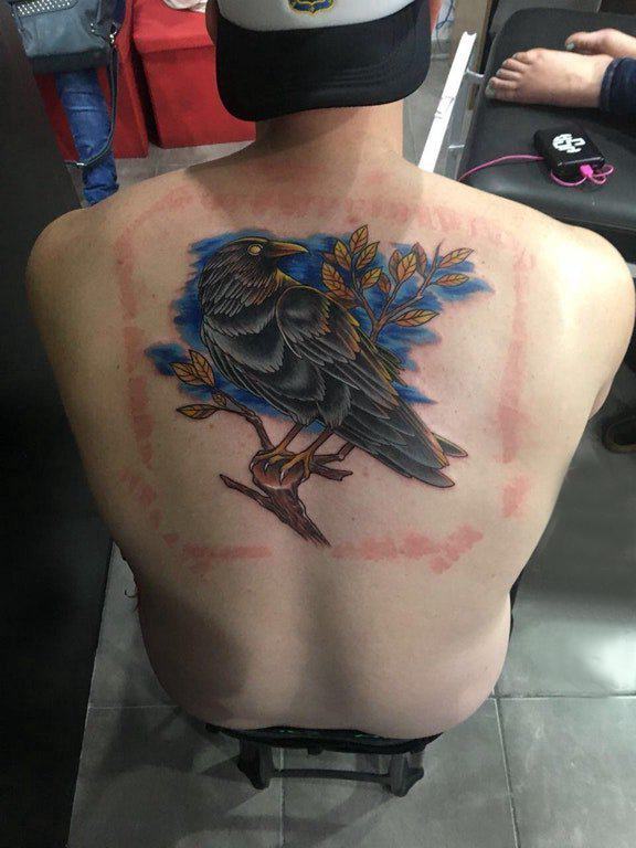点击大图看下一张：纹身鸟 男生背部小鸟纹身图片