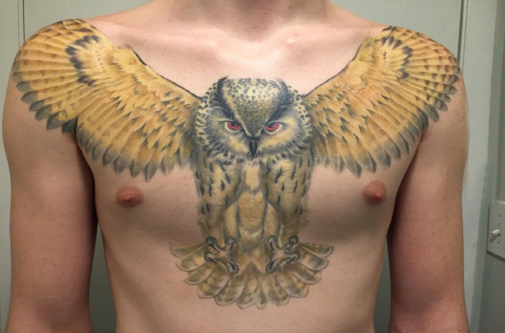 点击大图看下一张：纹身胸部男 男生胸部彩绘的猫头鹰纹身图片