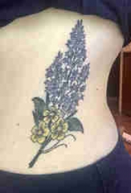 植物纹身 女生侧腰上彩色的植物纹身图片