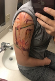 植物纹身 女生大臂上彩色的鹤望兰纹身图片