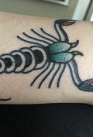 百乐动物纹身 男生小腿上彩色的蝎子纹身图片