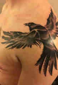 老鹰纹身图案 男生肩部老鹰纹身图案