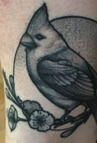 欧美小腿纹身 男生小腿上花朵和小鸟纹身图片