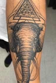 手臂纹身素材 男生手臂上三角形和大象纹身图片