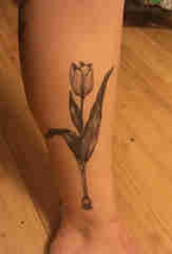 郁金香纹身图案 女生小腿上黑色的郁金香纹身图片