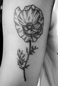 小清新植物纹身 女生手臂上黑色的花朵纹身图片