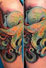 章鱼纹身图案 男生手臂上动物纹身章鱼纹身图案