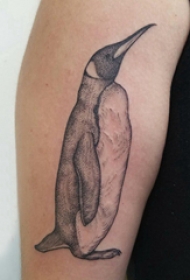 百乐动物纹身 男生大臂上黑色的企鹅纹身图片