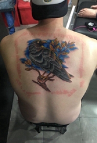 纹身鸟 男生背部小鸟纹身图片