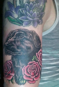 手臂纹身素材 男生手臂上玫瑰和小狗纹身图片