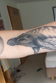 百乐动物纹身 男生大臂上黑色的鲸鱼纹身图片