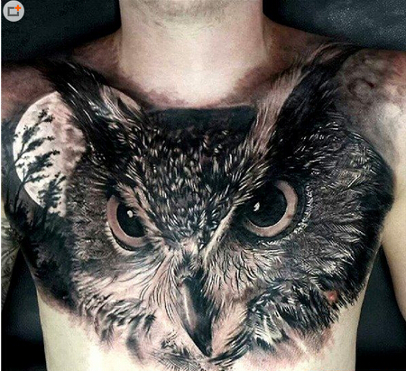 点击大图看下一张：暗黑猫头鹰胸部纹身